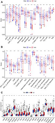 Neutrophil extracellular traps (NETs)-related lncRNAs signature for predicting prognosis and the immune microenvironment in breast cancer